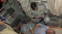 حمله خرس به چوپان اهل چرام/ چوپان فداکار شلیک نکرد!