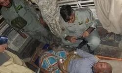 حمله خرس به چوپان اهل چرام/ چوپان فداکار شلیک نکرد!