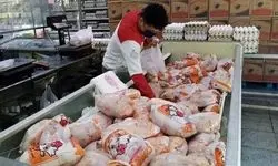 قیمت تمام شده هرکیلو مرغ بالای ۱۷۰ هزارتومان است؛ احتمال نوسان در بازار مرغ شب عید