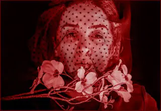 اجرای پروژه‌ «خون‌بَس» با حضور پانته‌آ پناهی‌ها در تالار وحدت