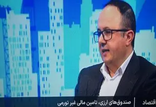  ابلاغ امیدنامه و اساسنامه صندوق ارزی در هفته آینده