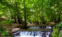 تنگ بستانک؛ بهشت گمشده در دل فارس