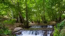 تنگ بستانک؛ بهشت گمشده در دل فارس