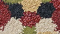  افزایش ۳۰ تا ۳۵ درصدی قیمت حبوبات؛ هر کیلو لوبیا چیتی ۳۹۰ هزار تومان 