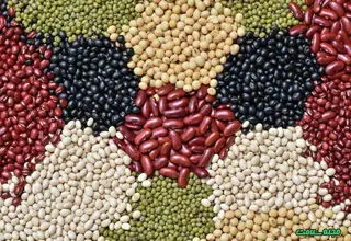  افزایش ۳۰ تا ۳۵ درصدی قیمت حبوبات؛ هر کیلو لوبیا چیتی ۳۹۰ هزار تومان 