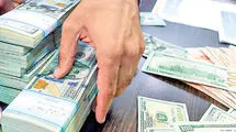 قیمت یورو و سایر ارزها در بازار؛ دلار به قیمت ۱۱۴ هزار و ۴۹۰ تومان فروخته شد