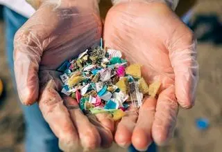 بلایی که پلاستیک برسر قلب و عروق می‌آورد!