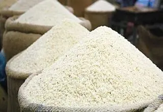 برنج ارزان می شود