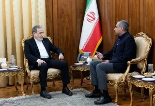 وزیر کشور پاکستان با عراقچی دیدار کرد
