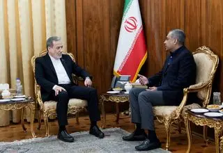 وزیر کشور پاکستان با عراقچی دیدار کرد