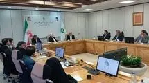عارف: بنیاد مستضعفان رقیب دولت نیست
