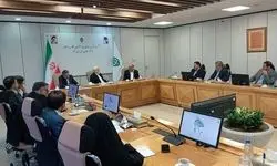 عارف: بنیاد مستضعفان رقیب دولت نیست
