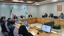 عارف: بنیاد مستضعفان رقیب دولت نیست
