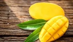 توقف ثبت سفارش واردات کالای انبه تا اطلاع ثانوی