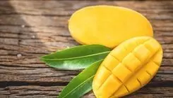 توقف ثبت سفارش واردات کالای انبه تا اطلاع ثانوی
