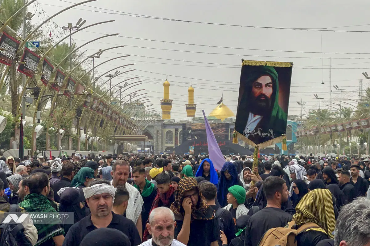 زائران اربعین در مسیر نجف به کربلا
