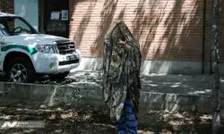 بازداشت زوج سارق طلا فروشی‌ها