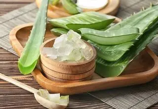لاغری سه سوته با این گیاه سبز