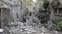 نواده واقف زمین انستیتو پاستور به حمله رژیم صهیونیستی واکنش نشان داد/ انتقاد شدید او از رضا پهلوی 