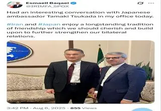 دیدار سخنگوی وزارت خارجه با سفیر ژاپن در تهران