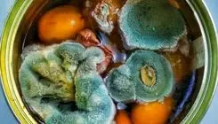 این غذاها را دور بریزید، سمی شده‌اند!
