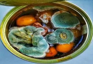 این غذاها را دور بریزید، سمی شده‌اند!