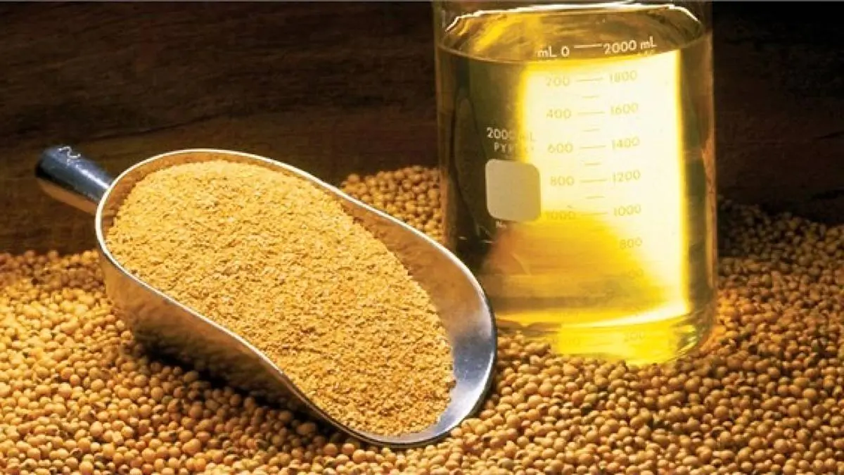 آغاز ثبت سفارش جدید واردات روغن از امروز ۲۲ شهریورماه