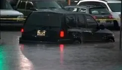 لحظات تاثیرگذار نجات یک سگ از سیل