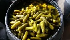 آیا لایه سفید روی آب خیارشورهای فله خطرناک است؟