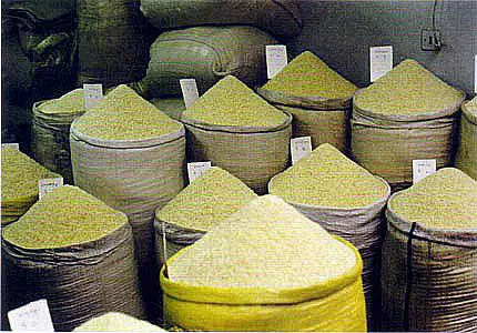 کاهش قیمت جهانی برنج در ماههای آینده؛ تداوم ممنوعیت فصلی توجیهی ندارد