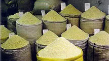 کاهش قیمت جهانی برنج در ماه‌های آینده؛ تداوم ممنوعیت فصلی توجیهی ندارد