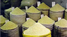 کاهش قیمت جهانی برنج در ماه‌های آینده؛ تداوم ممنوعیت فصلی توجیهی ندارد