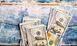 حواله دلار با نرخ ۱۳۷ هزار تومانی ۱۴۰۴ را به پایان رساند