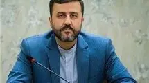 واکنش غریب‌آبادی به تحرکات تروئیکای اروپایی: در وین اتفاق خاصی رخ نداده