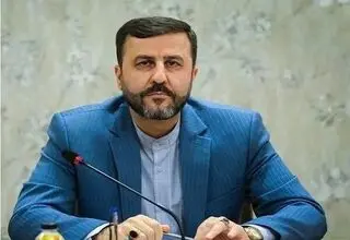 واکنش غریب‌آبادی به تحرکات تروئیکای اروپایی: در وین اتفاق خاصی رخ نداده