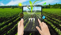 فناوری؛ راه نجات زمین گرسنه