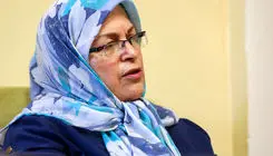 رییس جبهه اصلاحات: مراقب ریزپرنده‌های افراطی باشید