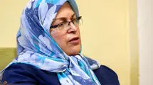 رییس جبهه اصلاحات: مراقب ریزپرنده‌های افراطی باشید