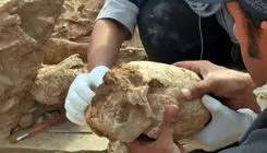 کشف «جمجمه مخروطی» یک زن از زیر خاک