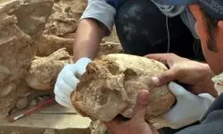 کشف «جمجمه مخروطی» یک زن از زیر خاک