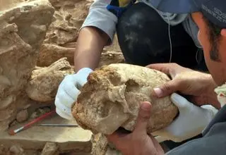 کشف «جمجمه مخروطی» یک زن از زیر خاک