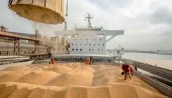 نهاده‌های دامی با نرخ قبلی توزیع می‌شوند