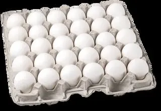  ۲۵۰ میلیارد تومان خسارت روزانه روی دوش مرغداران 