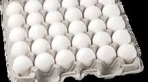  ۲۵۰ میلیارد تومان خسارت روزانه روی دوش مرغداران 