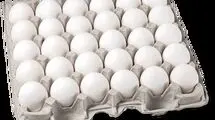 ۲۵۰ میلیارد تومان خسارت روزانه روی دوش مرغداران 