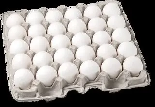  ۲۵۰ میلیارد تومان خسارت روزانه روی دوش مرغداران 