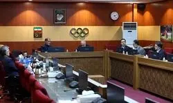 نشست رئیس کمیته ملی المپیک با مدیران ارشد وزارت امور خارجه و سفرای ایران