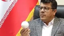 ناظری: نظر سرمربی چوگان به خدمت گرفتن مربی بسیار خوب خارجی بود