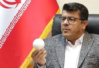 ناظری: نظر سرمربی چوگان به خدمت گرفتن مربی بسیار خوب خارجی بود