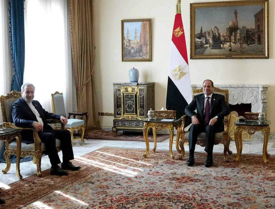 عراقچی با رئیس جمهور مصر دیدار کرد 